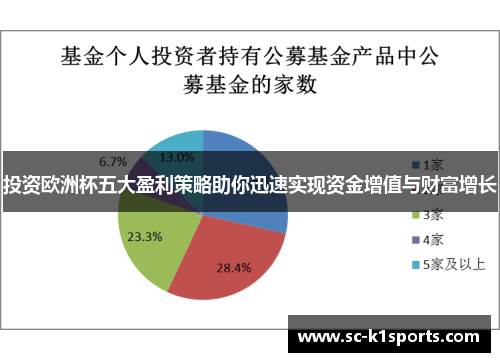 投资欧洲杯五大盈利策略助你迅速实现资金增值与财富增长 投资欧洲杯五大盈利策略助你迅速实现资金增值与财富增长