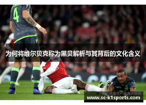 为何将维尔贝克称为黑贝解析与其背后的文化含义