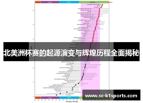 北美洲杯赛的起源演变与辉煌历程全面揭秘 北美洲杯赛的起源演变与辉煌历程全面揭秘