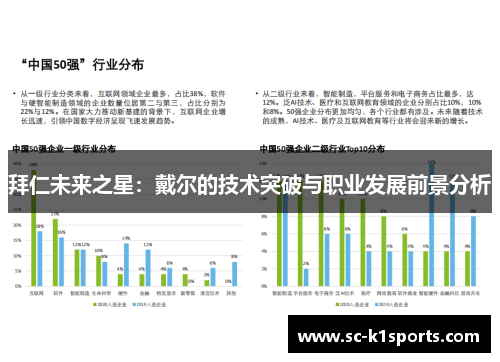 拜仁未来之星：戴尔的技术突破与职业发展前景分析