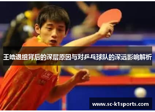 王皓退组背后的深层原因与对乒乓球队的深远影响解析