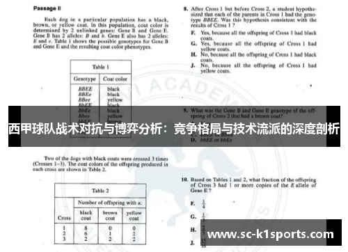 西甲球队战术对抗与博弈分析：竞争格局与技术流派的深度剖析