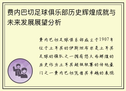 费内巴切足球俱乐部历史辉煌成就与未来发展展望分析