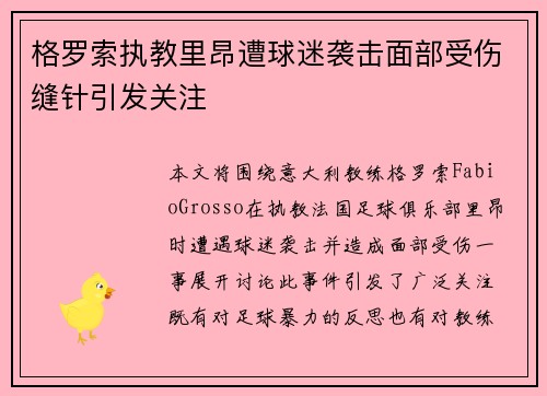 格罗索执教里昂遭球迷袭击面部受伤缝针引发关注