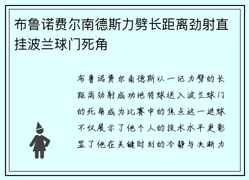 布鲁诺费尔南德斯力劈长距离劲射直挂波兰球门死角
